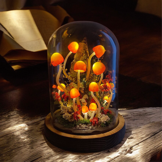 Whimsical Mushroom Night Light